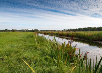 Bremen Gärten und Parks: Oasen der Ruhe und Naturgenuss