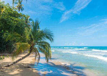 Von Bremen nach Costa Rica - die Hansestadt als Tor zur Welt