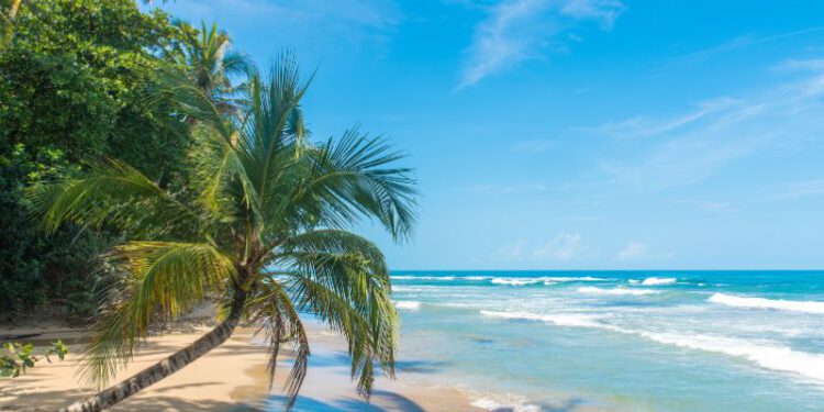 Von Bremen nach Costa Rica - die Hansestadt als Tor zur Welt